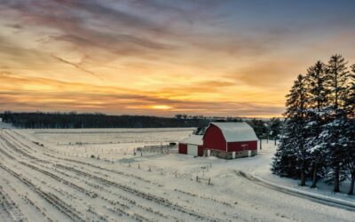 Doubling the Runway: What the New 10-Year Beginning Farmer Rule Means for You