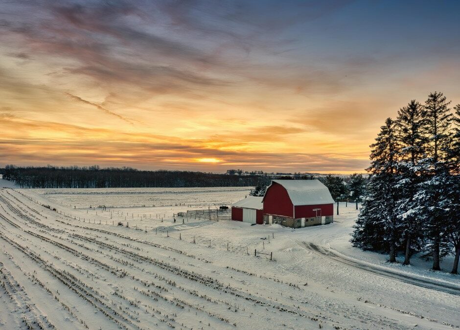 Barn in a snowy field